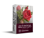 پکیج جامع آموزش گل پیونی مینیاتوری از مبتدی تا پیشرفته