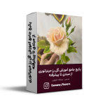 پکیج جامع آموزش گل رز مینیاتوری از مبتدی تا پیشرفته