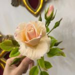 پکیج جامع آموزش گل رز مینیاتوری از مبتدی تا پیشرفته - تصویر 2