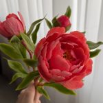 پکیج جامع آموزش گل پیونی مینیاتوری از مبتدی تا پیشرفته - تصویر 2