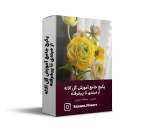 پکیج جامع آموزش گل آلاله از مبتدی تا پیشرفته