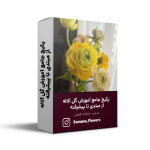 پکیج جامع آموزش گل آلاله از مبتدی تا پیشرفته