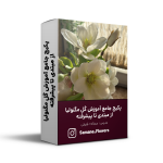 پکیج جامع آموزش گل مگنولیا از مبتدی تا پیشرفته