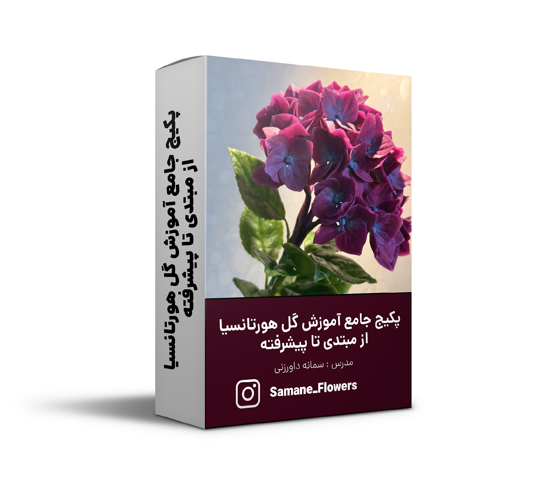 processed_692cbccf_1782675873_compressed پکیج جامع آموزش گل هورتانسیا از مبتدی تا پیشرفته - تصویر 1