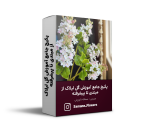 پکیج جامع آموزش گل لیلاک از مبتدی تا پیشرفته