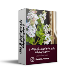 پکیج جامع آموزش گل لیلاک از مبتدی تا پیشرفته