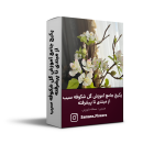 پکیج جامع آموزش گل شکوفه سیب از مبتدی تا پیشرفته