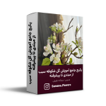 پکیج جامع آموزش گل شکوفه سیب از مبتدی تا پیشرفته