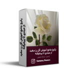 پکیج جامع آموزش گل رز سفید از مبتدی تا پیشرفته