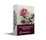 پکیج جامع آموزش گل رز لاله از مبتدی تا پیشرفته
