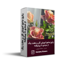 پکیج جامع آموزش گل رز هفت رنگ از مبتدی تا پیشرفته