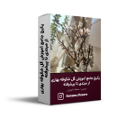 پکیج جامع آموزش گل شکوفه بهاری از مبتدی تا پیشرفته