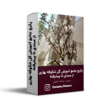 پکیج جامع آموزش گل شکوفه بهاری از مبتدی تا پیشرفته