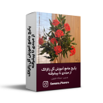 پکیج جامع آموزش گل زالزالک از مبتدی تا پیشرفته
