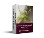 پکیج جامع آموزش گل اکالیپتوس از مبتدی تا پیشرفته