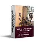 پکیج جامع آموزش میوه بلوبری از مبتدی تا پیشرفته